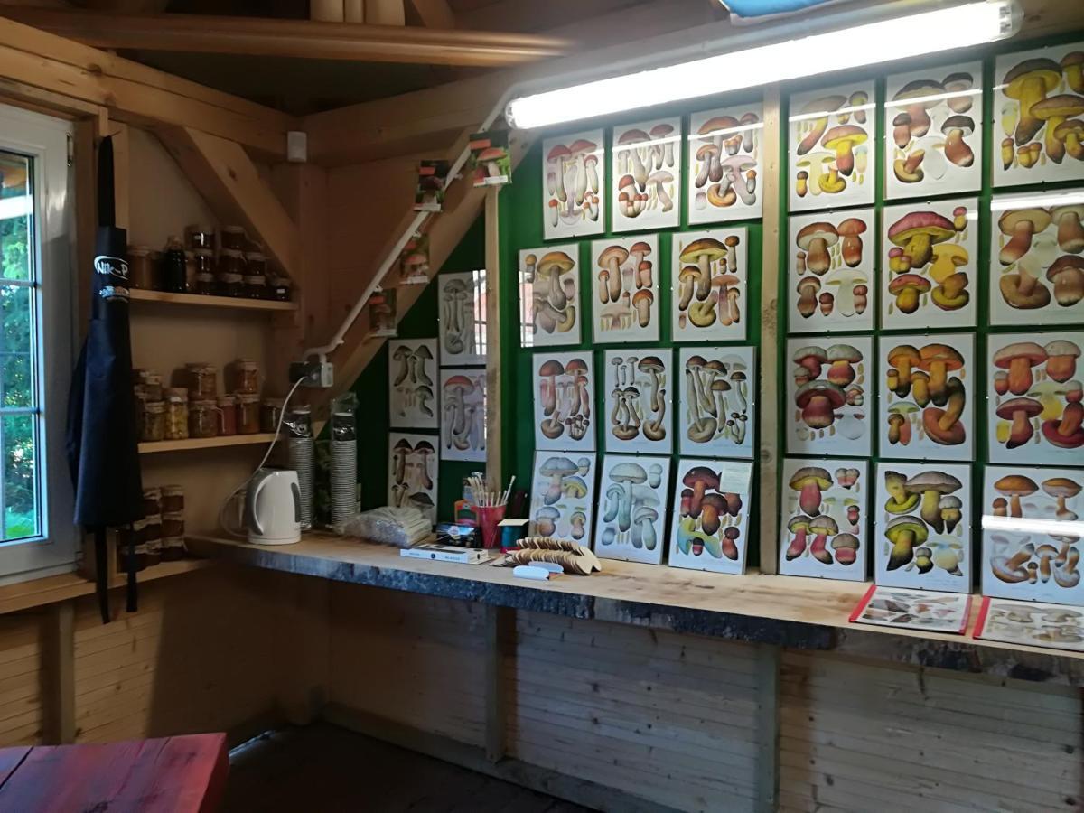 Alloggio per agriturismo Jozefowka Borkowo Leborskie Zwartowko