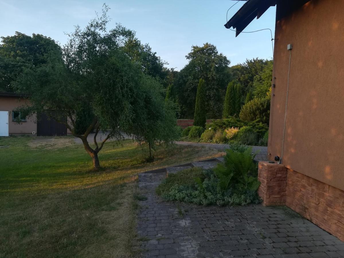 Jozefowka Borkowo Leborskie Zwartowko